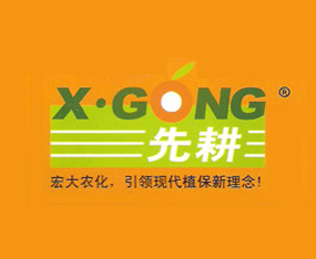 �۹����r�����޹�˾