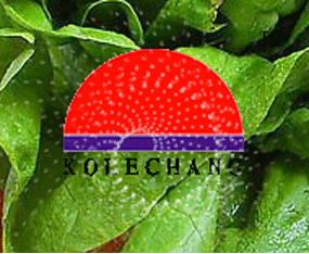 �����������r(n��ng)�I(y��)�о���