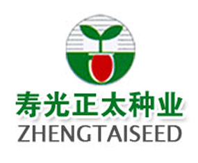 �۹�����̫�N���