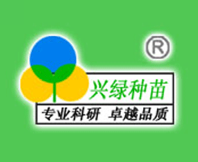 �Ϻ��d�G�߲˷N���о���