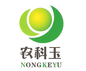 �����r(n��ng)�������N�_�l(f��)����؟(z��)�ι�˾