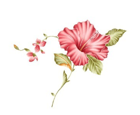 �_���������܈@ˇ