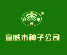 �����зN�ӹ�˾