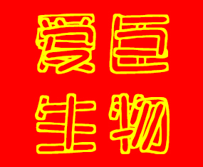 ��(j��)���۳�����Ƽ����޹�˾