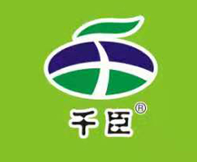 ����ʡǧ������Ƽ�����؟(z��)�ι�˾����2019ȫ��ֲ����(hu��)-2019��35��ֲ����Ϣ�������r(n��ng)ˎе���ו�(hu��)