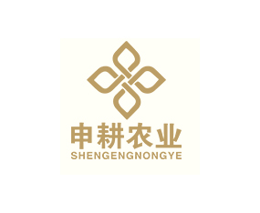 �Ϻ�����r(n��ng)�I(y��)�l(f��)չ���޹�˾