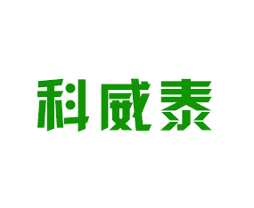 �ӱ�����̩�������޹�˾