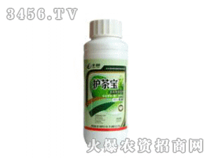 �S��-�o(h��)�茚