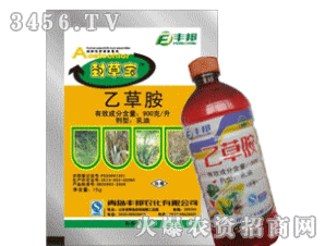 �S��-�Ҳݰ�