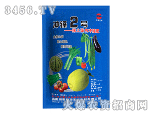 �����ϛ_�h2̖(h��o)