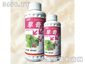 25%����-�����ͣ����棩