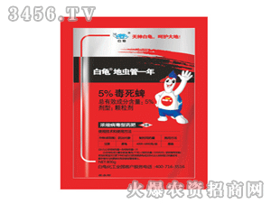 ����?sh��)��x(ch��ng)��һ��-5%������