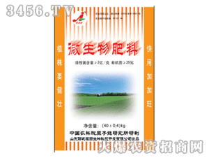 �Ӽ���-΢�������3