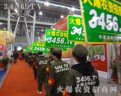 �ഺ�Ļ������Gɫ����