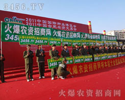 ������������ֱǰ