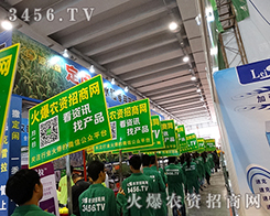 ���߰���������