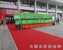 �Z�Z�������ƏV������ʮ�������