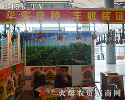 ���u�A���N�����޹�˾����2015�ό��r�Y��-2015��13���Ϸ��r�Y���[��