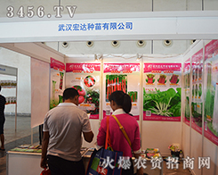 ��h���_�N�����޹�˾����2015�ό��r�Y��-2015��13���Ϸ��r�Y���[��