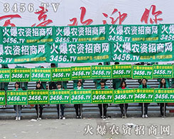 �����(du��)��������(zh��n)������ƴ����