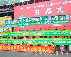 3456.TV��չ���F(xi��n)���γ���һ���������L(f��ng)����