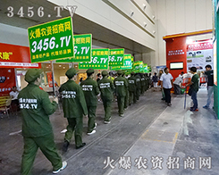 ���˫I(xi��n)��һ�c������������x��