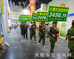 �𱬾W(w��ng)�Gɫ�F(tu��n)ꠎ��o��һ�����