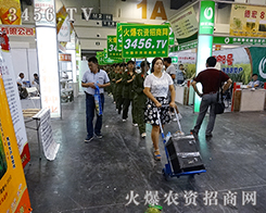 3456.TVһֱ��·��������ͣЪ �ل�(chu��ng)�x��