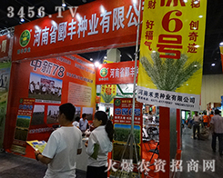 ����ʡ۱�S�N�I(y��)���޹�˾����2015���ݷN�ӽ��ו�-2015����ʡ�ļ��N����Ϣ�����߮a(ch��n)Ʒչ�[��