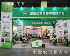 ����ʡ�Ϻ��N�����޹�˾����2015���ݷN�ӽ��ו�-2015����ʡ�ļ��N����Ϣ�����߮a(ch��n)Ʒչ�[��