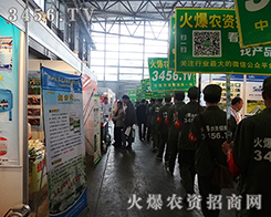 2015���������r(n��ng)������,�r(n��ng)�Y�W(w��ng)���{���࣬���҂��ďS��������������