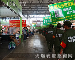 ���c���c���������r(n��ng)�Y�W(w��ng)������������