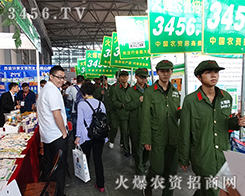 ���r(n��ng)�Y���̾W(w��ng)�������F(tu��n)�(du��)����������Ȼ���e��������