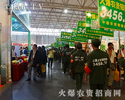 2015�����r���������r�Y���̾W(w��ng)������������