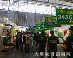 Ҫ�������������2015�����r�Y�����r�Y�W(w��ng)���Є���