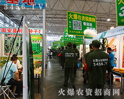 2015�����r������3456.TV��ǰ�M��