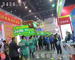 �������e�O���ϵĻ��r(n��ng)�Y���̾W(w��ng)��(zh��n)ʿ��