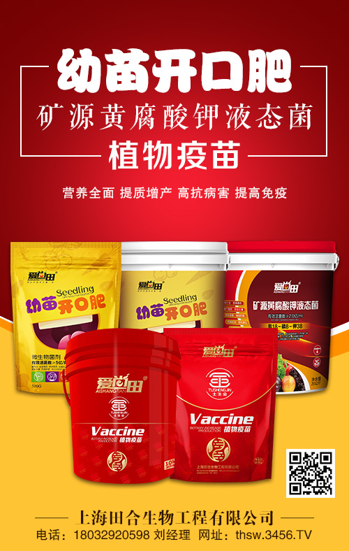 幼苗開(kāi)口肥