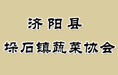 ��ꖿh��ʯ�(zh��n)�߲˅f(xi��)��