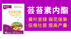 河北凱瑞克農(nóng)業(yè)科技有限公司