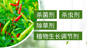 �L�����L�p�r(n��ng)ˎ���޹�˾