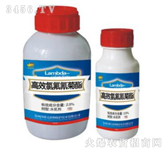 高效氯氟氰菊酯殺蟲(chóng)劑-金蛤蟆-沙隆達(dá)