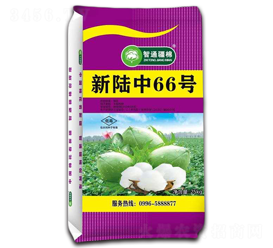 新陸中66號(hào)-棉花種子-冠王花