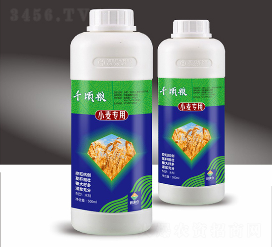 小麥專用含氨基酸水溶肥料-千頃糧-穗滿倉(cāng)