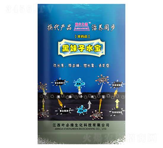 黑妹子水寶-葉必綠