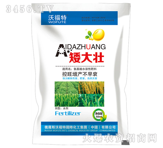 矮大壯-沃福特-東星農(nóng)業(yè)