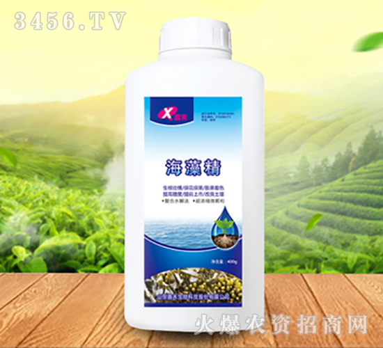 海藻精-鑫禾生物