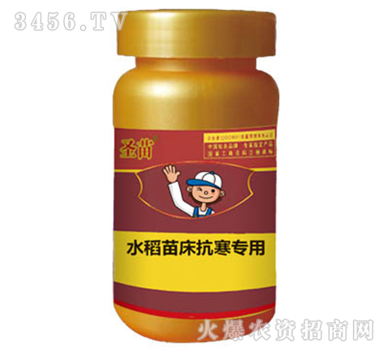 水稻抗寒噴灑劑-健農(nóng)生物