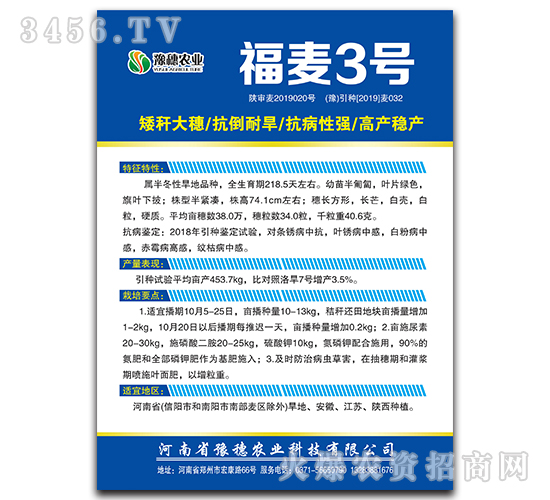 福麥3號-小麥種子-豫穗農(nóng)業(yè)