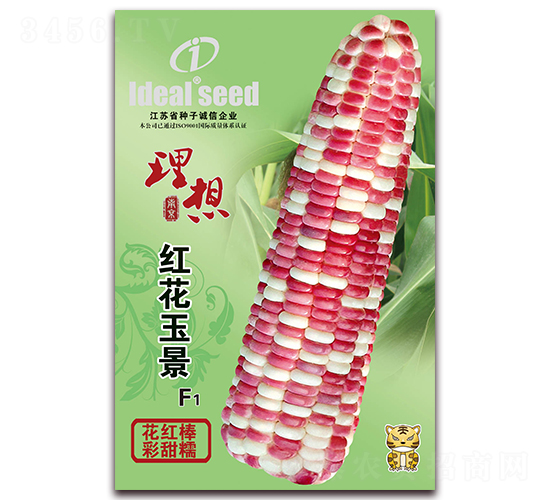 紅花玉景-糯玉米種子-理想農(nóng)業(yè)